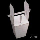 2020