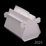 2025