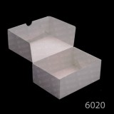 6020