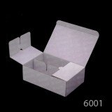6001