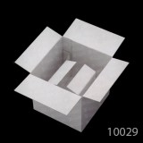 10029